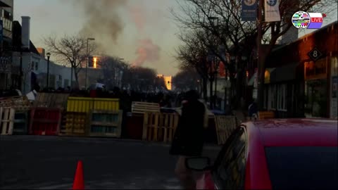 TWO CATS U.S. POLITICAL NEWS