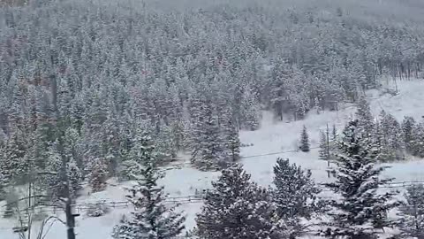 Winter Wonderland! Absolutely stunning! #travel #truckdriver #trucking