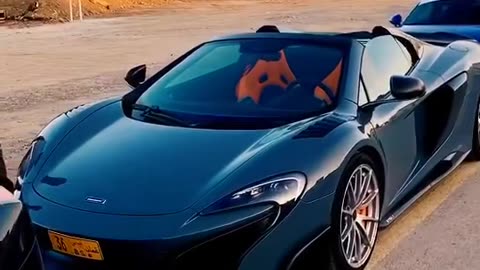 🤔👀 Choose Your Dream Car in this EXCLUSIVE Poll! Luxury Sports Cars | LuxurySportsCars