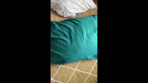 Kapok jako výplň polštáře (NONTOXIC POLŠTÁŘ)