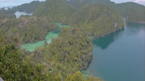 Indonesia - Misool Love Pool hike and boat tour