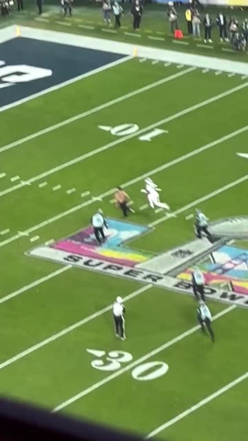 Shirtless Streaker Invades Super Bowl