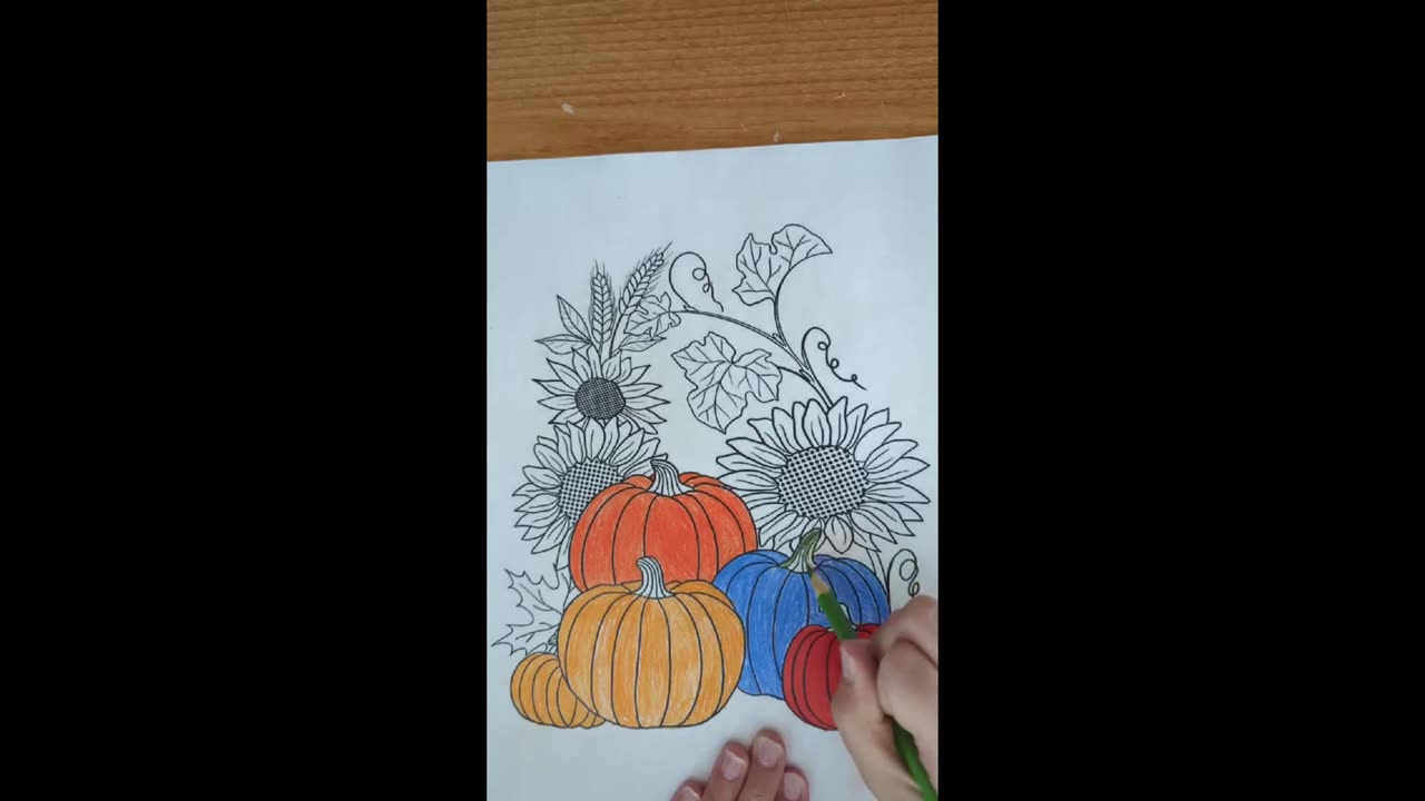 colorfull pumpkins