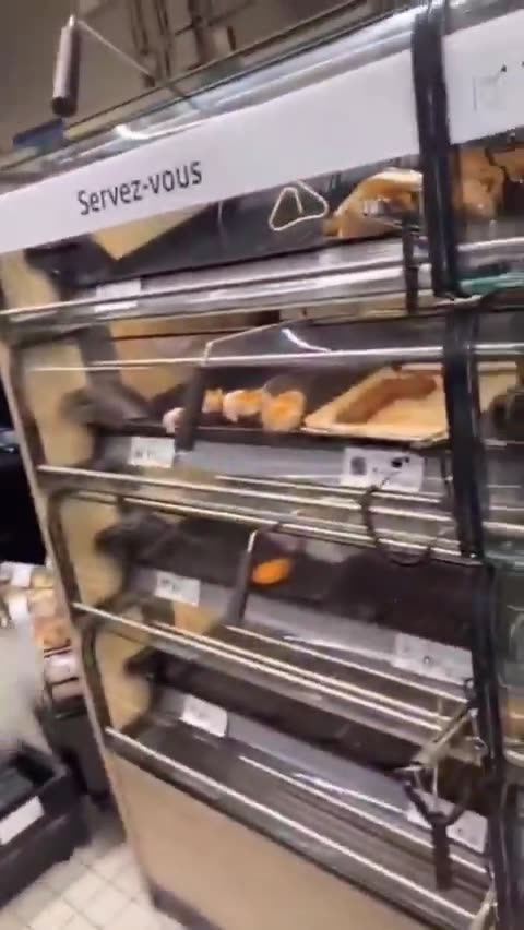 🇫🇷 Ils volent de la nourriture et rient parce qu’ils savent que les contribuables Français paieront.