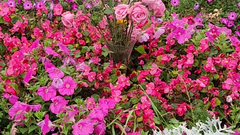 A floral Selection part 2