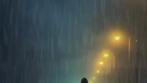 Everything is organized and payed for