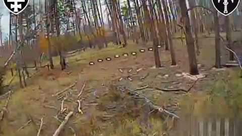 Cleaning Up After Russian Soldiers Inside Serebryansky Forest