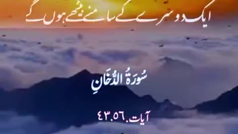 Beshak 💯♥️✨🕊️