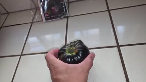 Finally Harvested My First Ever Black Tomato (August 2, 2025)