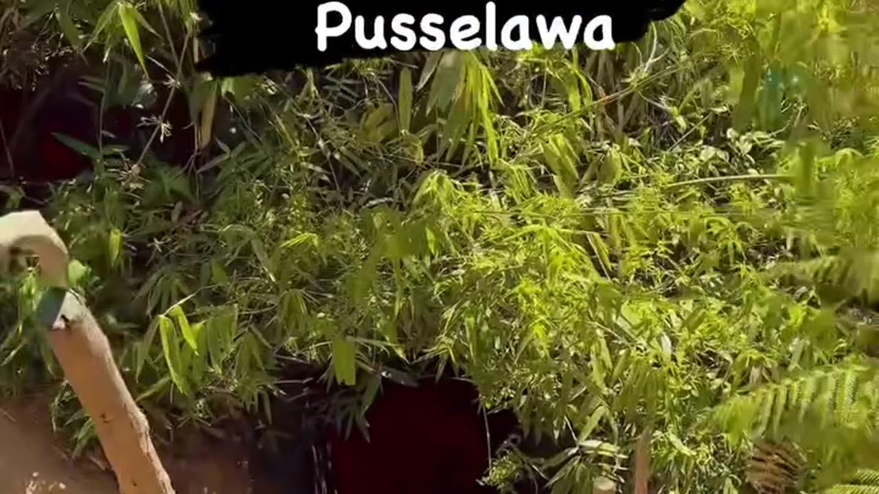 මීට කලින් දැකල නැහැ නේද