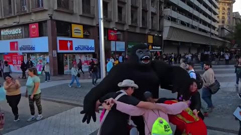 Harinam Sankirtan in Santiago, Chile October 2025