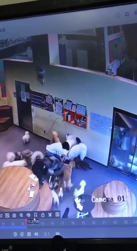 Let us kiss your boo-boo to make you feel better