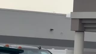 Helicopter spins out of control before crashing in Hammonton, New Jersey