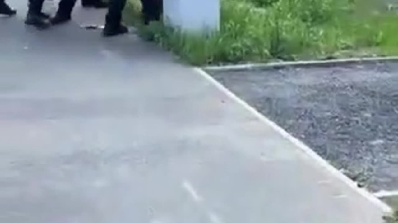 pathetic weakling UK pigs trying to arrest an illegal