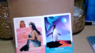 Queendom of Heaven & Precognitive Test 1-19-26