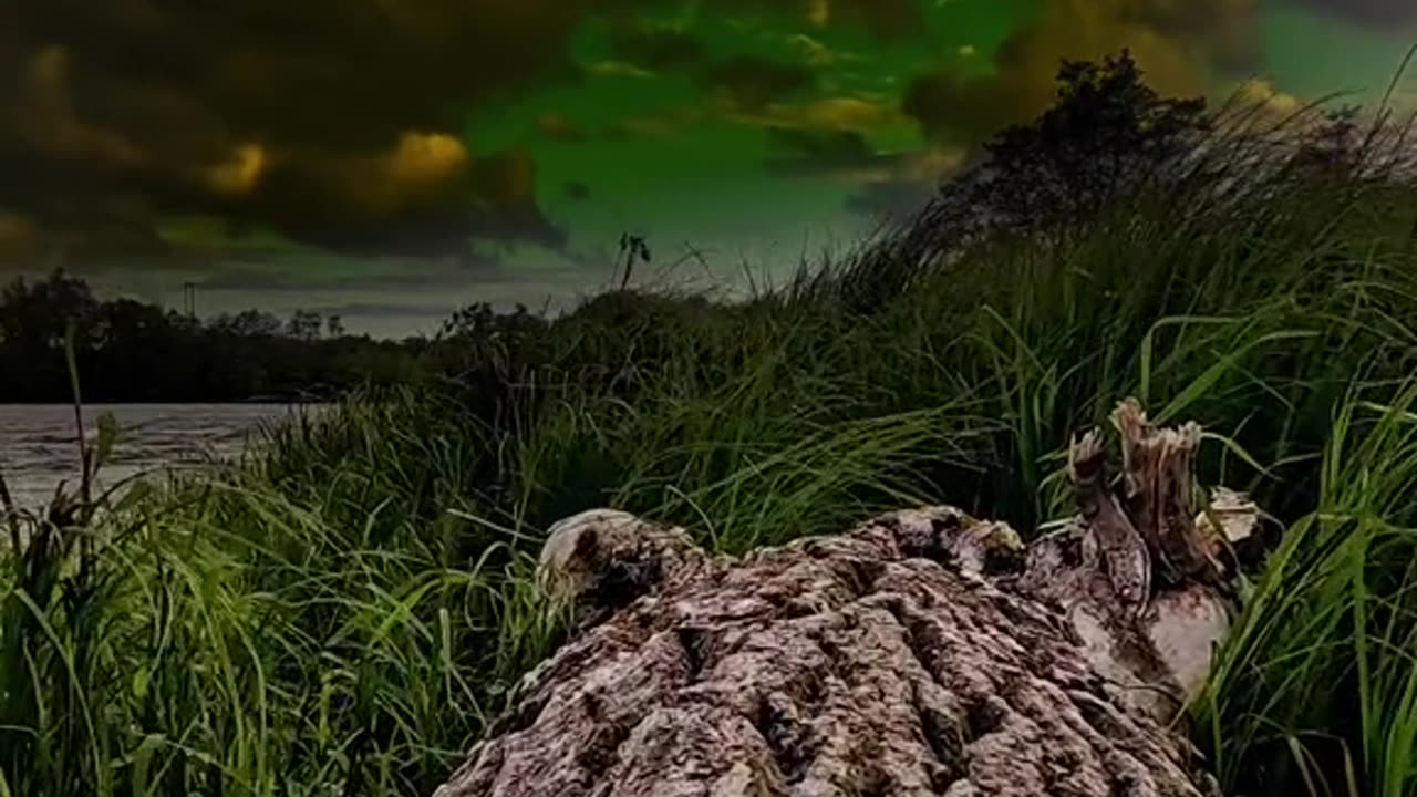 Nature’s Calm Glow
