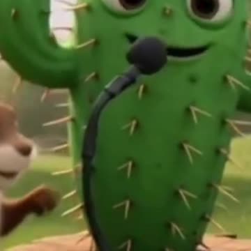 Cactus song
