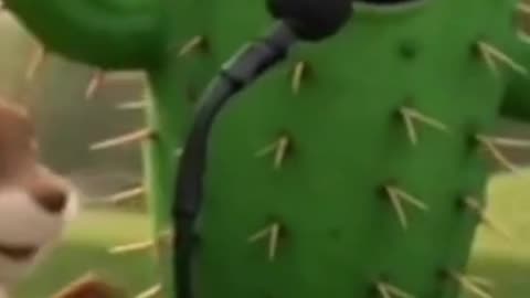 Cactus song