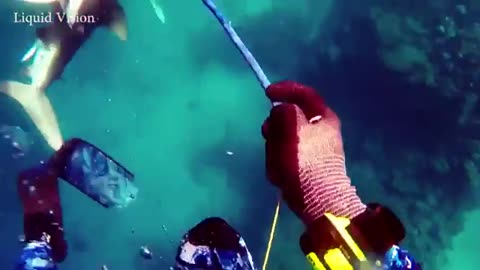 Shark attacks spear fisher off North Queensland coast