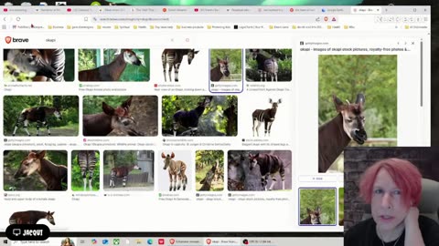 Live with Restream, November 26