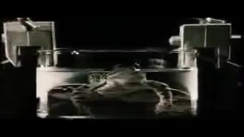 Syndrom gotowanej żaby