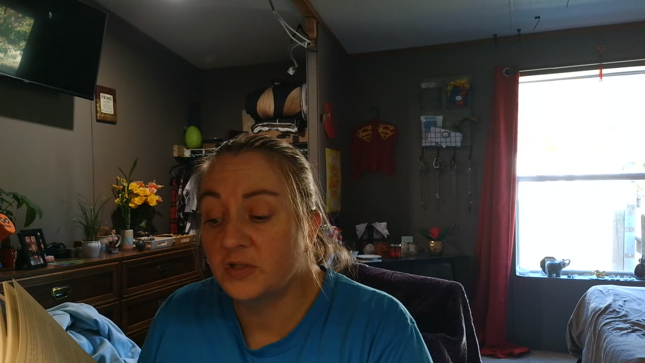 The Faerie's Oracle and Before Tarot Reading