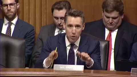 BREAKING: Senator Hawley just DOGWALKED this Airline CEO over him paying his employees...