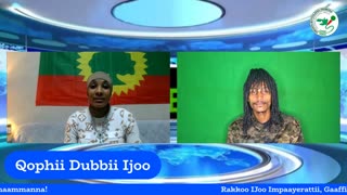 Qophii Dubbii Ijoo ONM-ABO Sadaasa 13-2025 itti dhiyaadhaa!