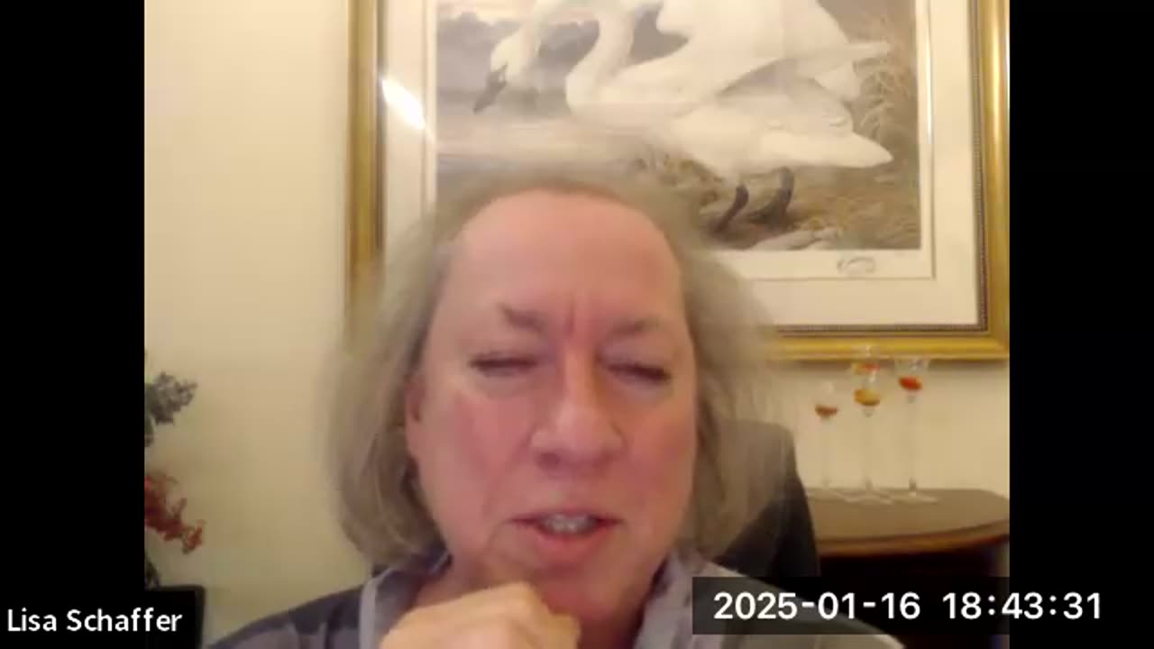 January 16th 2025 - Countrywide Coordinator Call Without Anna Von Reitz