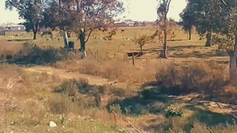 Caminata por la ruta - Tacuarembó, sábado 06/09/2025