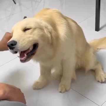 Enjoying some pampering 😍