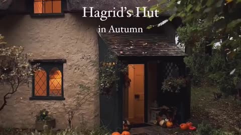 A real life Hagrid’s Hut! In Dorset, England. Tag a friend you’d stay here with. ✨ 🎃