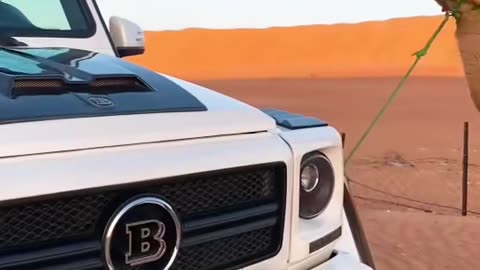 🤯👀 or 🤔👀 Which Luxury Car Do You Prefer? | LuxurySportsCars