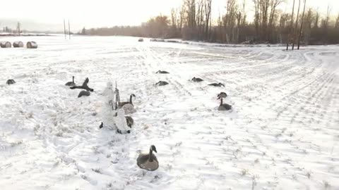 Best Cold Weather Hunting Jacket for Ultimate Warmth & Comfort