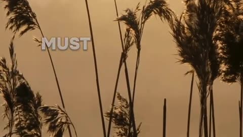 #bible study with #jairus #acts 7 Why Jesus Only Appear to Paul after the Death of Stephen?