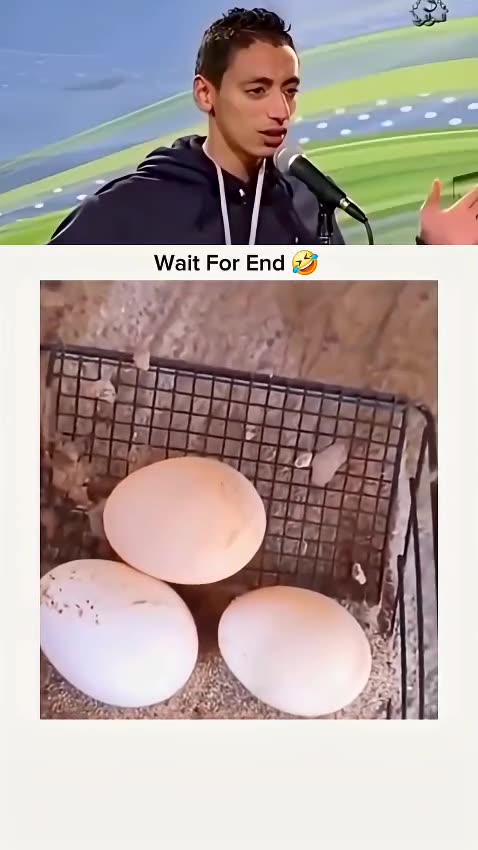 Wait For End😂😂😂