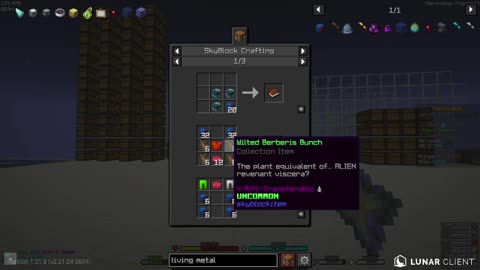 🤠Road to 100 Followers🤠 🤠Hypixel Skyblock Ironman🤠 🤠24/365🤠