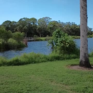 A WALK IN THE RED BUG SLOUGH IN SARASOTA!