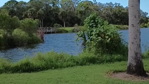 A WALK IN THE RED BUG SLOUGH IN SARASOTA!
