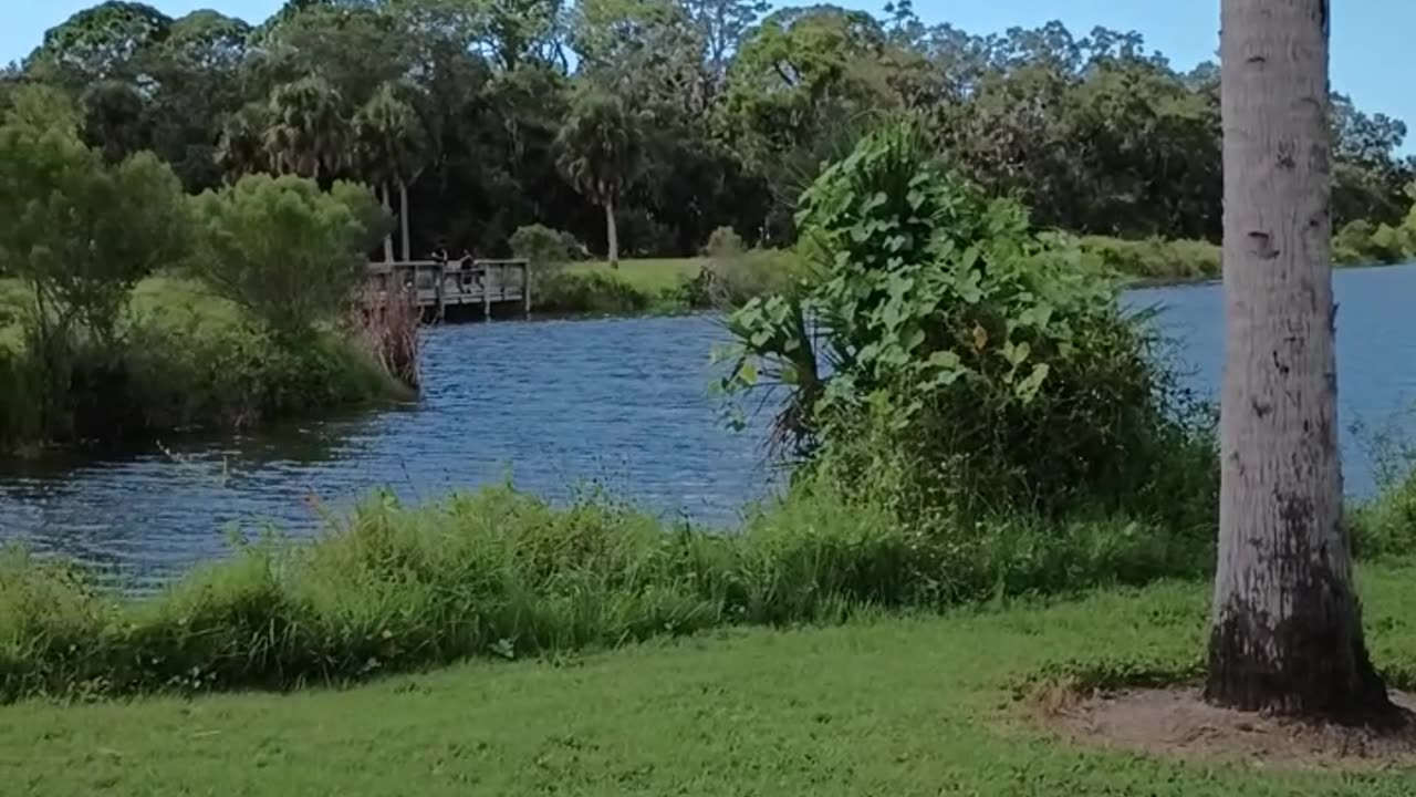 A WALK IN THE RED BUG SLOUGH IN SARASOTA!