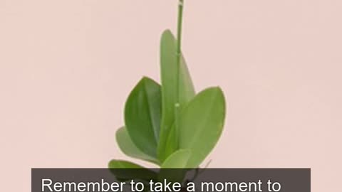 Daily Horoscope | Taurus 🌟