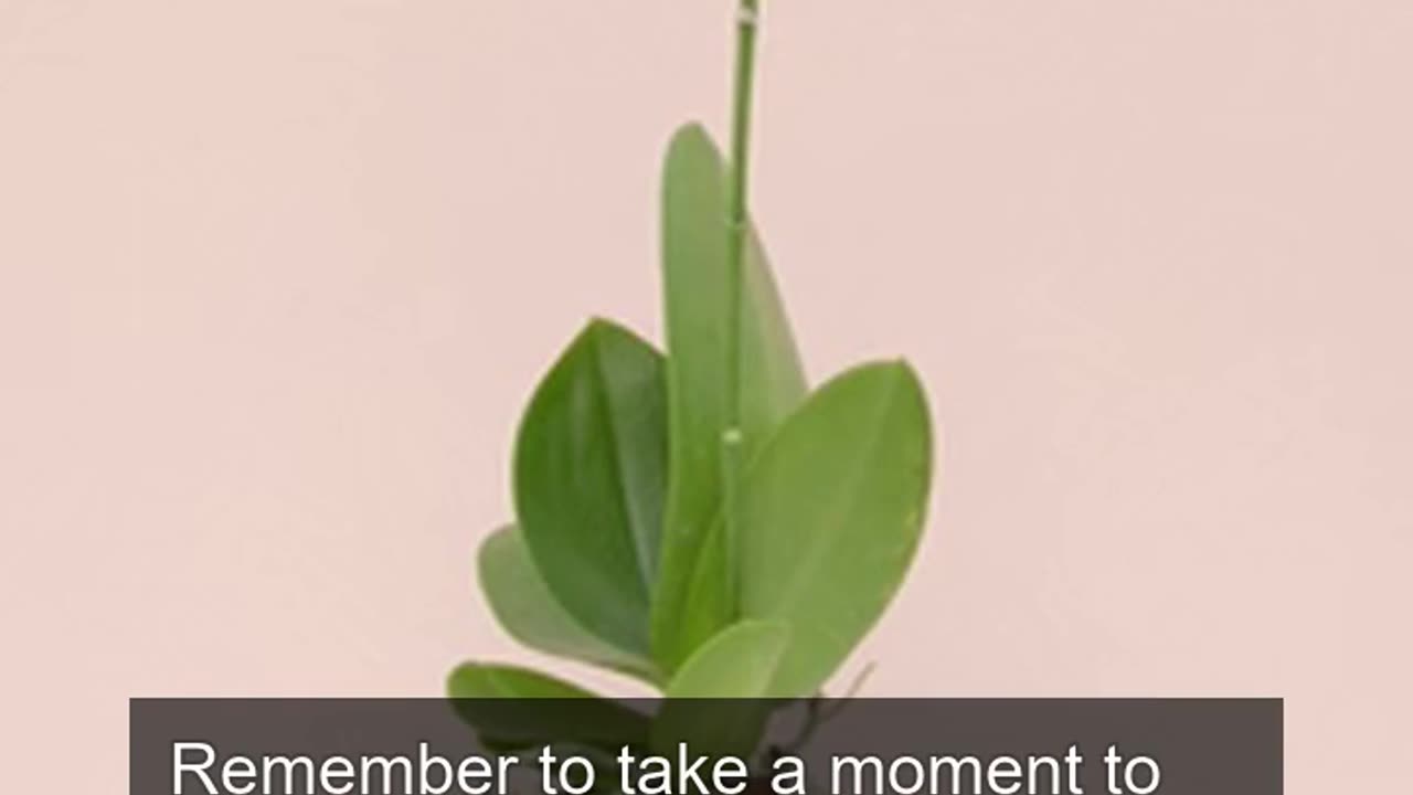 Daily Horoscope | Taurus 🌟