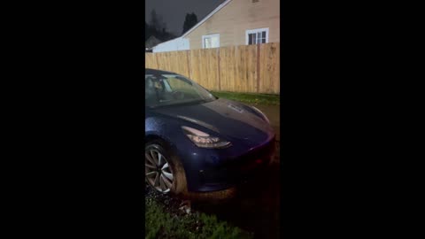 HIT TREE WITH MY TESLA SALEM OREGON PT 2