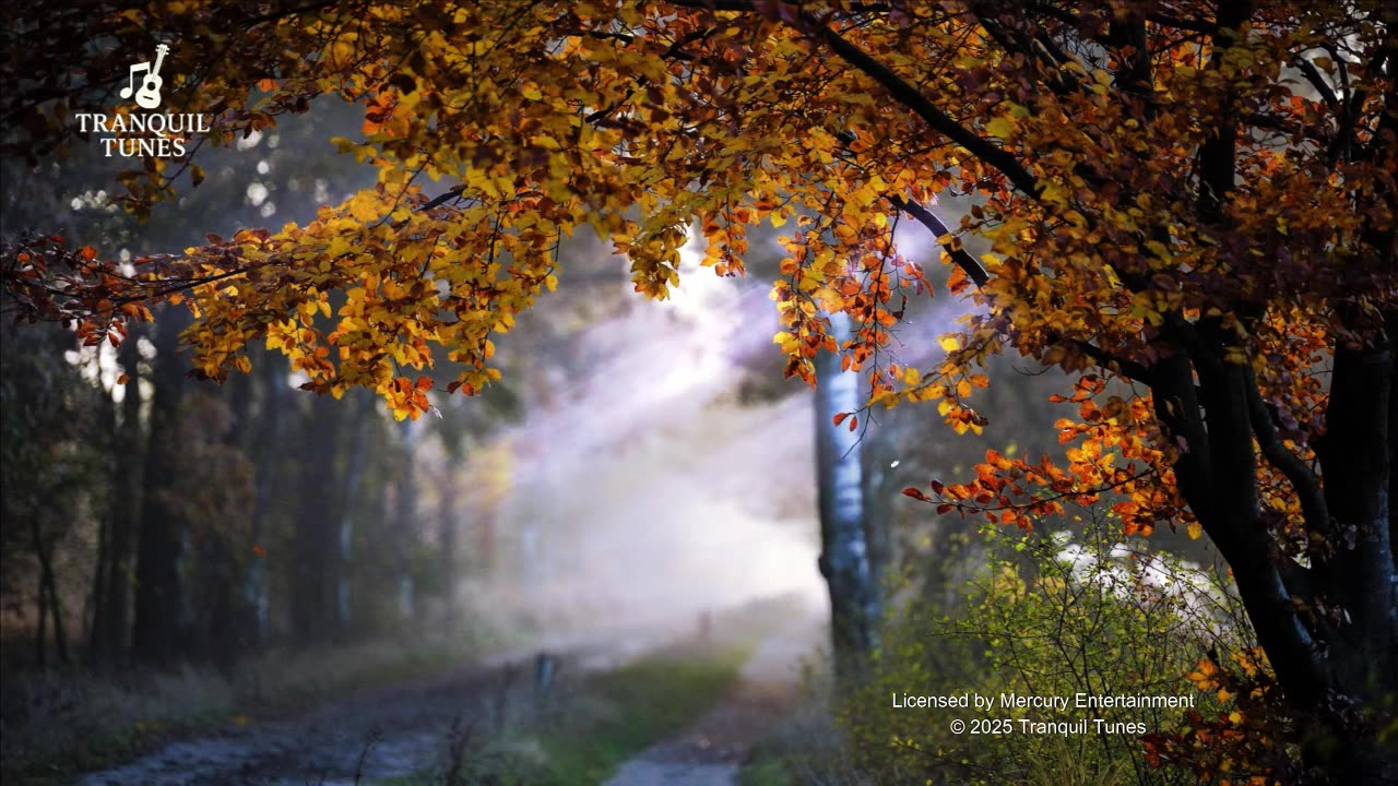 Enchanting Autumn Nature Scenes With Relaxing Piano Music For Stress Relief