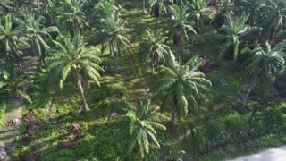 Gentle Glow – Cozy Night Lofi