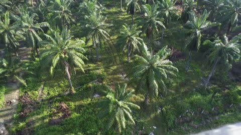 Gentle Glow – Cozy Night Lofi