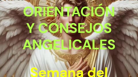 😊 ORIENTACIÓN Y CONSEJOS ANGELICALES 😊 Semana del 08 al 14 de Diciembre 2025