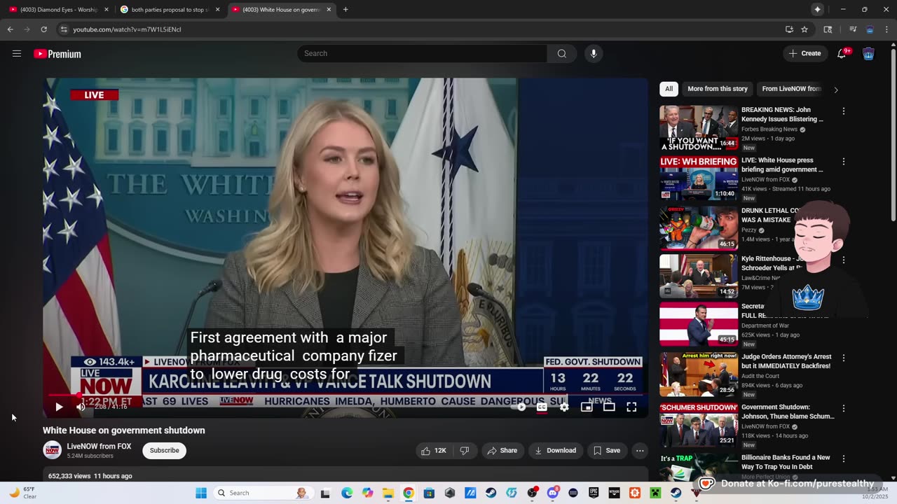 The PuRe Experience Unfiltered: Let's break down the Government Shutdown