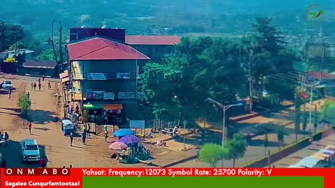 Oduu Waaree ONM-ABO Sadaasa 7-2025 itti dhiyaadhaa!