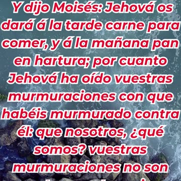 “El Señor oye sus quejas y provee” Éxodo 16:8. #shortvideo #reels #youtubeshorts #ytshorts #youtube